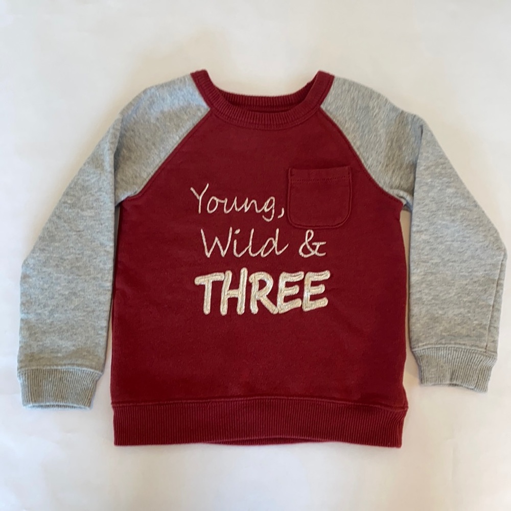Joe Fresh custom embroidered sweater